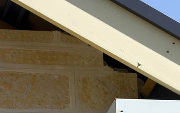 soffit repair Hastoe